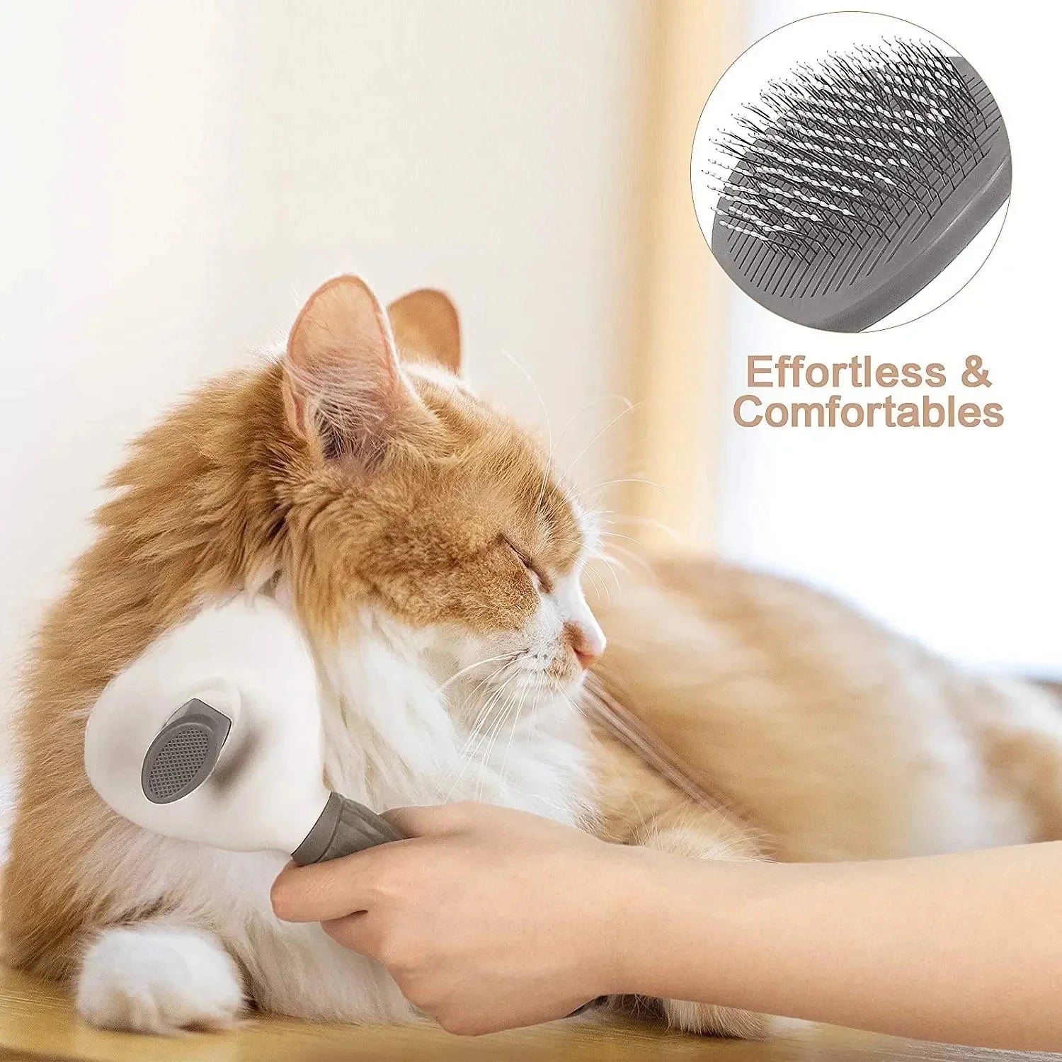Pet dog brush; cat brush; one-button pet hair removal brush; dog and cat beauty tool; pet hair removal brush.